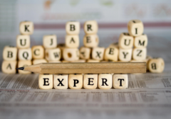 Expert