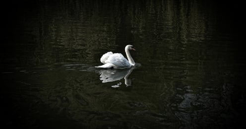 Strategies for Success as an Introvert in the Extroverted Legal World