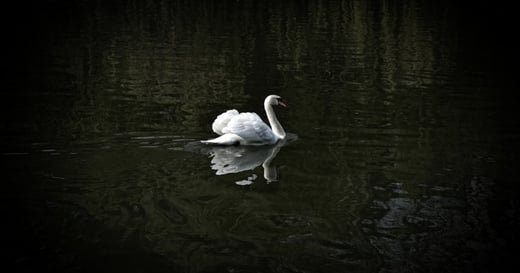 Strategies for Success as an Introvert in the Legal World